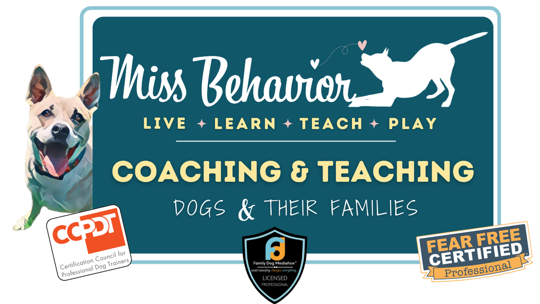 Dog Whisperer's Notes Avatar